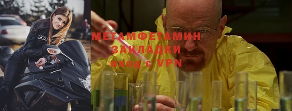 сатива Чегем