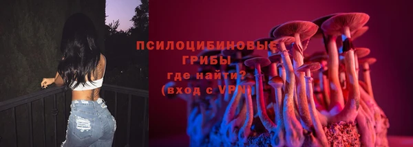 apvp Балахна
