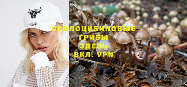 apvp Балахна