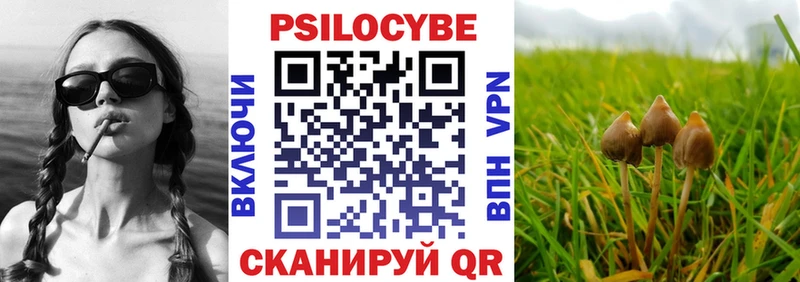 Купить где Данков Галлюциногенные грибы мицелий